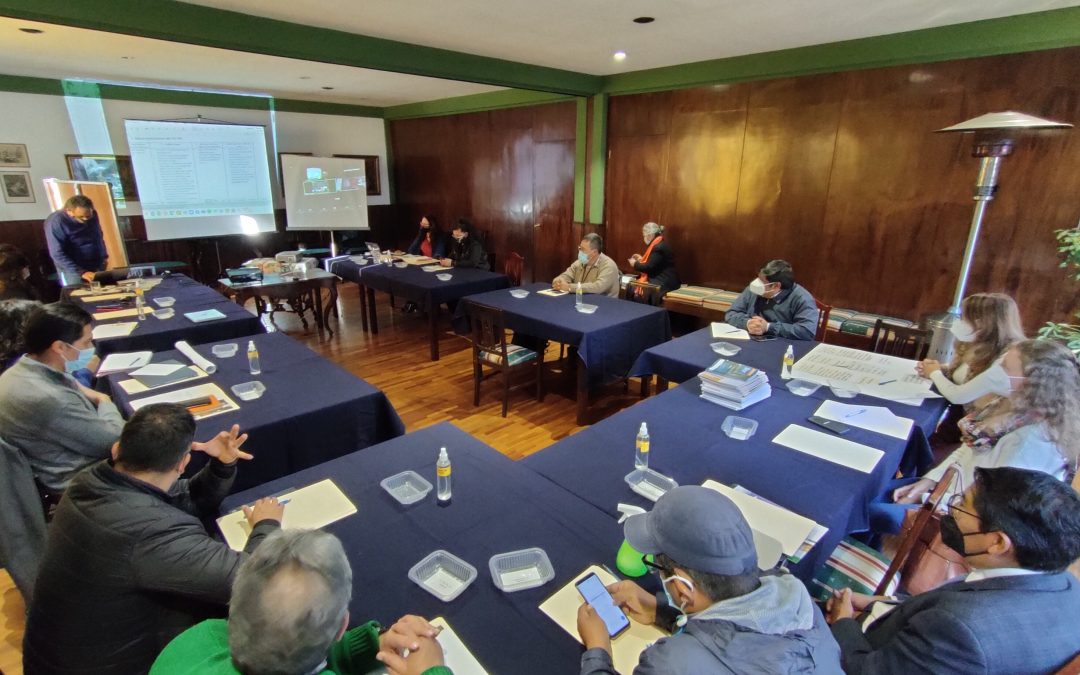 Taller de fortalecimiento del Grupo Interinstitucional de Trabajo en Oro Responsable (GIT-OR)