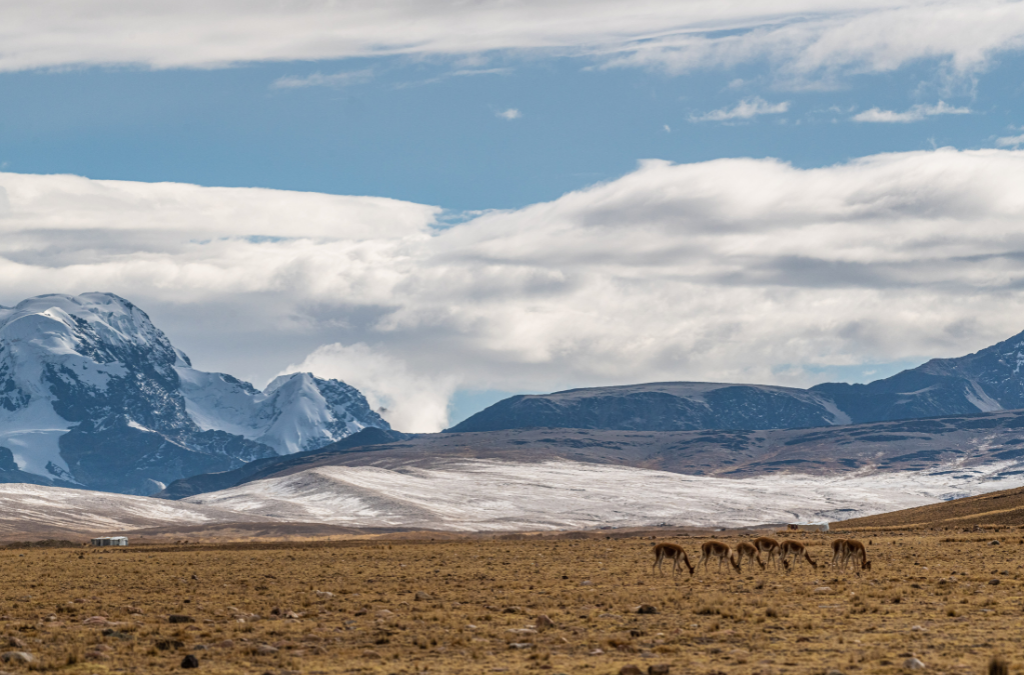 Cooperativas mineras implementan medidas de producción más limpia en la cuenca alta del rio Suches