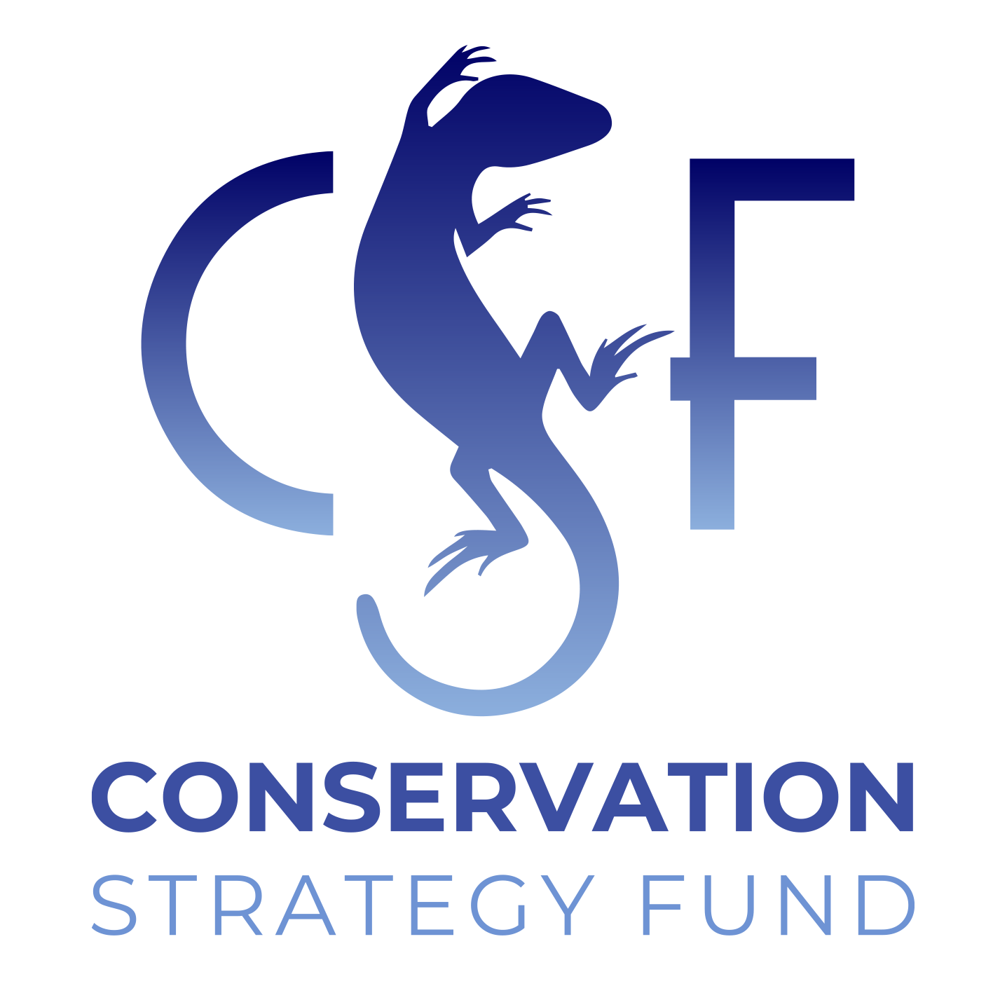 Logo Conservation Strategy Fund Solidaridad